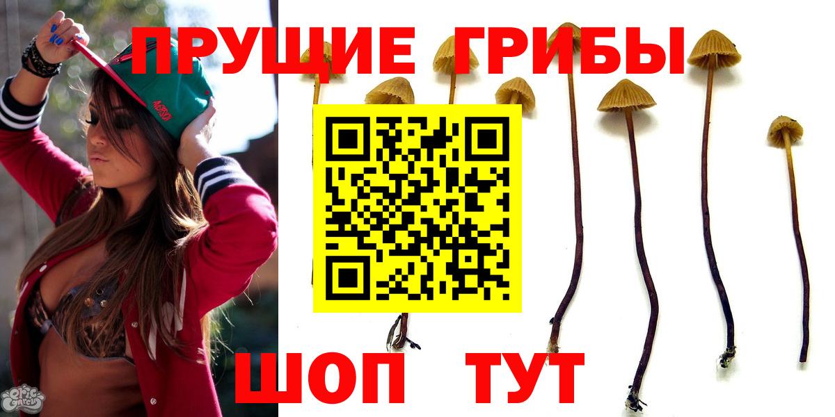 Бердск  Галлюциногенные грибы GOLDEN TEACHER  Вход с VPN 