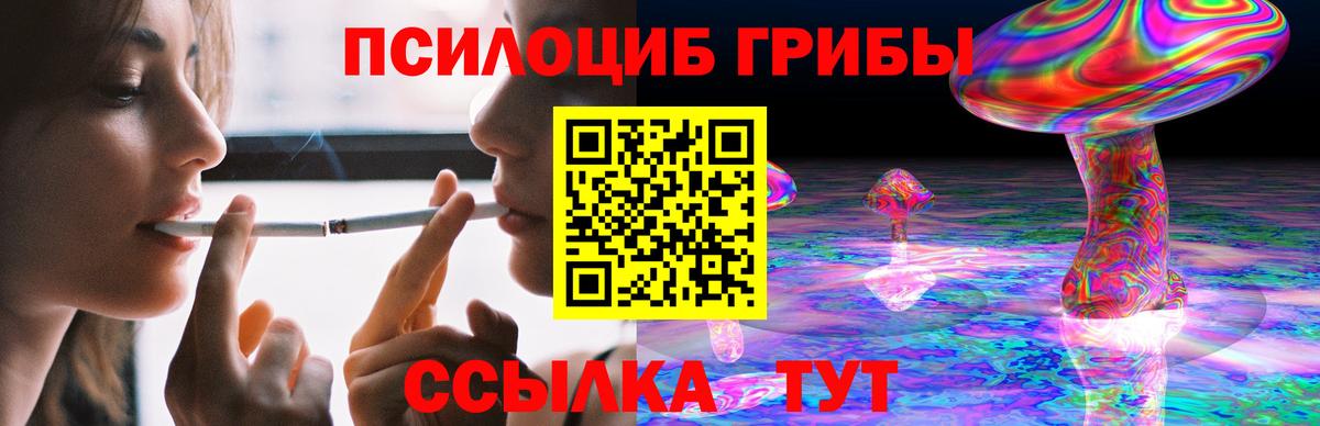 Псилоцибиновые грибы прущие грибы Бердск